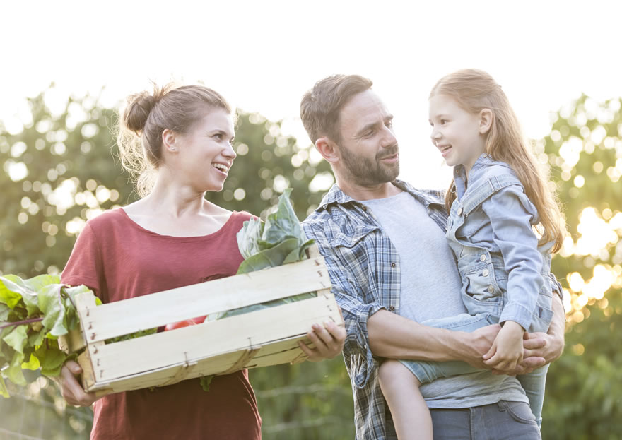 Productes ecològics i a granel disponibles a Ekobo
